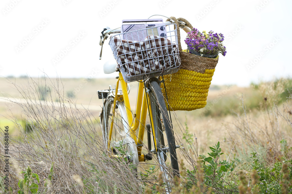 Bicycle with basket of flowers in meadow during sunset