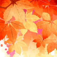 Sticker - Autumn Vector Watercolor Fall Leaves