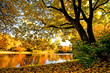 canvas print picture - Goldener Herbst mit ruhigem See im Park :)