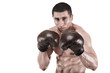 Young muscular man, boxer posing in studio in gloves, isolated