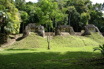 Fototapete - Ruines Maya au Guatemala