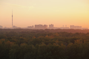 Canvas Print - TV tower and urban houses in summer yellow sunrise