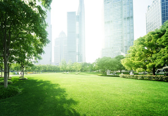 Wall Mural - park in  lujiazui financial centre, Shanghai, China