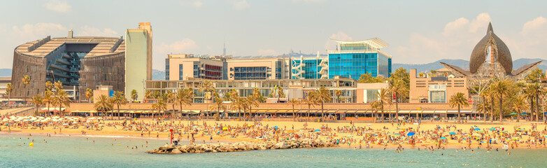 Wall Mural - barceloneta beach in barcelona at sunrise