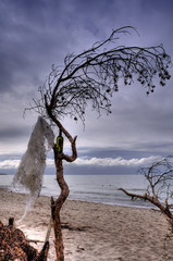 Coastal Landscape of the Baltic Sea