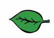 doodle leaf birch