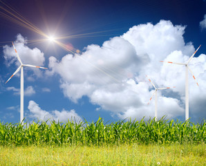 green grass on the field with sky