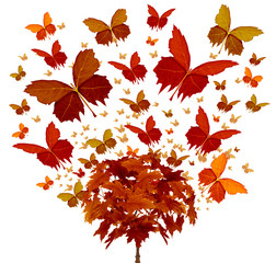 Wall Mural - autumn tree concept