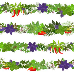 Wall Mural - seamless border of collection herbs and spices