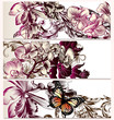 Vector backgrounds set with orchid flowers
