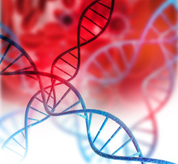 Wall Mural - DNA structure.