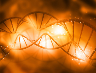 Wall Mural - DNA structure..