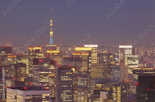 Fotoboard na płycie Tokio miasta i tokyo niebo drzewo w nocy