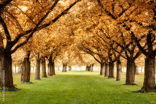 Paradiesische Herbstszene