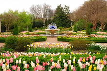 Landscape Design In Atlanta Botanical Garden Horizontal