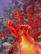Sea life - crinoid