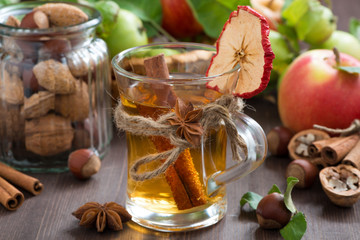 Wall Mural - apple cider with spices in glass mug