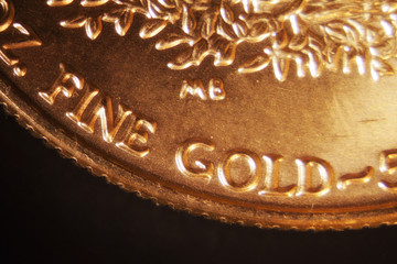 Gold Coin