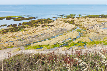 Poster - coastline of Atlantic ocean on Guerande Peninsula