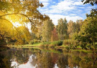 Wall Mural - The bright autumn wood is reflected in the lake