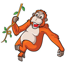 Orangutan Cartoon