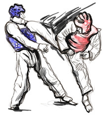 Canvas Print - Tae-Kwon Do. An full sized hand drawn illustration