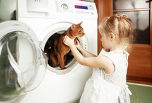 Little Girl Bathing The Cat In The Washing Machine