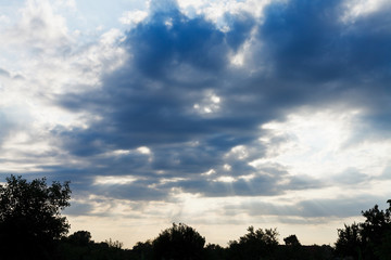 Wall Mural - blue clouds over trees at sunset