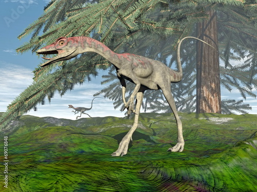 Naklejka samoprzylepna 3d dinozaur compsognathus odpłaca się