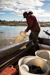 Wall Mural - Eel Fisherman