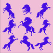 Silhouettes of animals (vector horses clipart )6