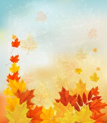 Poster - Autumn background with colorful leaves. Back to school Vector il