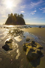 Seastack Sanctuary Low Tide Second Beach Olympic National Park