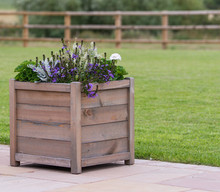 Wooden Planter With Purple Flowers