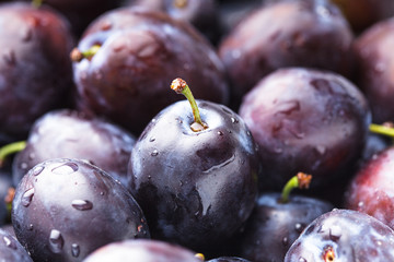 Canvas Print - Fleshy plums