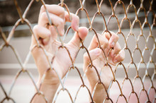 Hands With Mesh Cage, Hands With Steel Mesh Fence