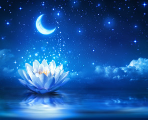 Wall Mural - waterlily and moon in starry night - magic background