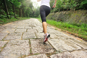 Poster - fitness woman runner running on forest trail