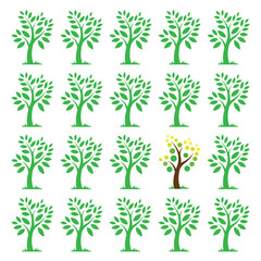 Wall Mural - Vector images of trees. Different concepts