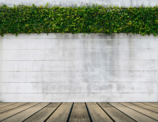 green leaf plant over grunge wall background