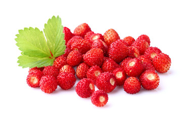 wild strawberry