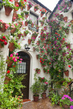 Fototapeta Uliczki - Flowers Decoration of Courtyard, typical house in Spain, Europe