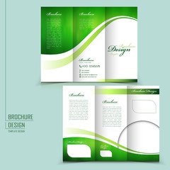 Wall Mural - modern style tri-fold brochure template for business