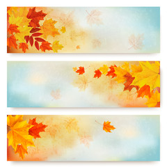 Poster - Three abstract autumn banners with color leaves. Vector