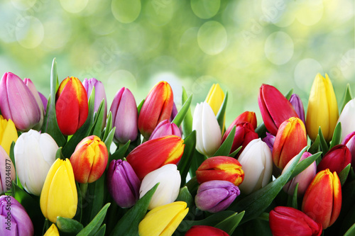 Naklejka dekoracyjna tulips