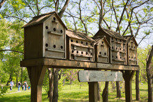Wooden Birdhouses