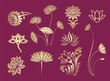 lotus motifs , floral pattern, textile design, Rajasthan, royal India