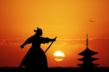 Poster - Samurai ninja at sunset