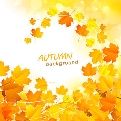 Wall Mural - Autumn leaf fall background