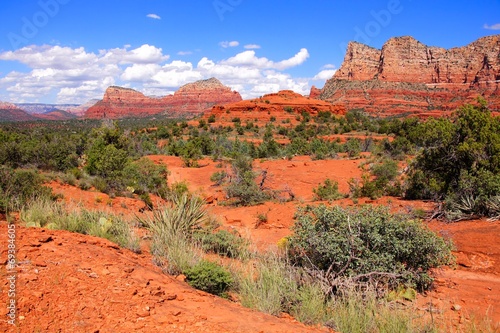 Fotoboard na płycie Red rock krajobraz sedona, arizona, usa